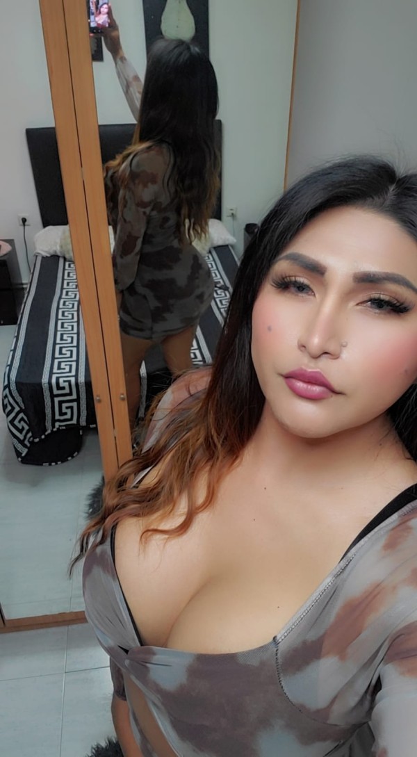 Mariel trans cachonda dominadora nueva granollers