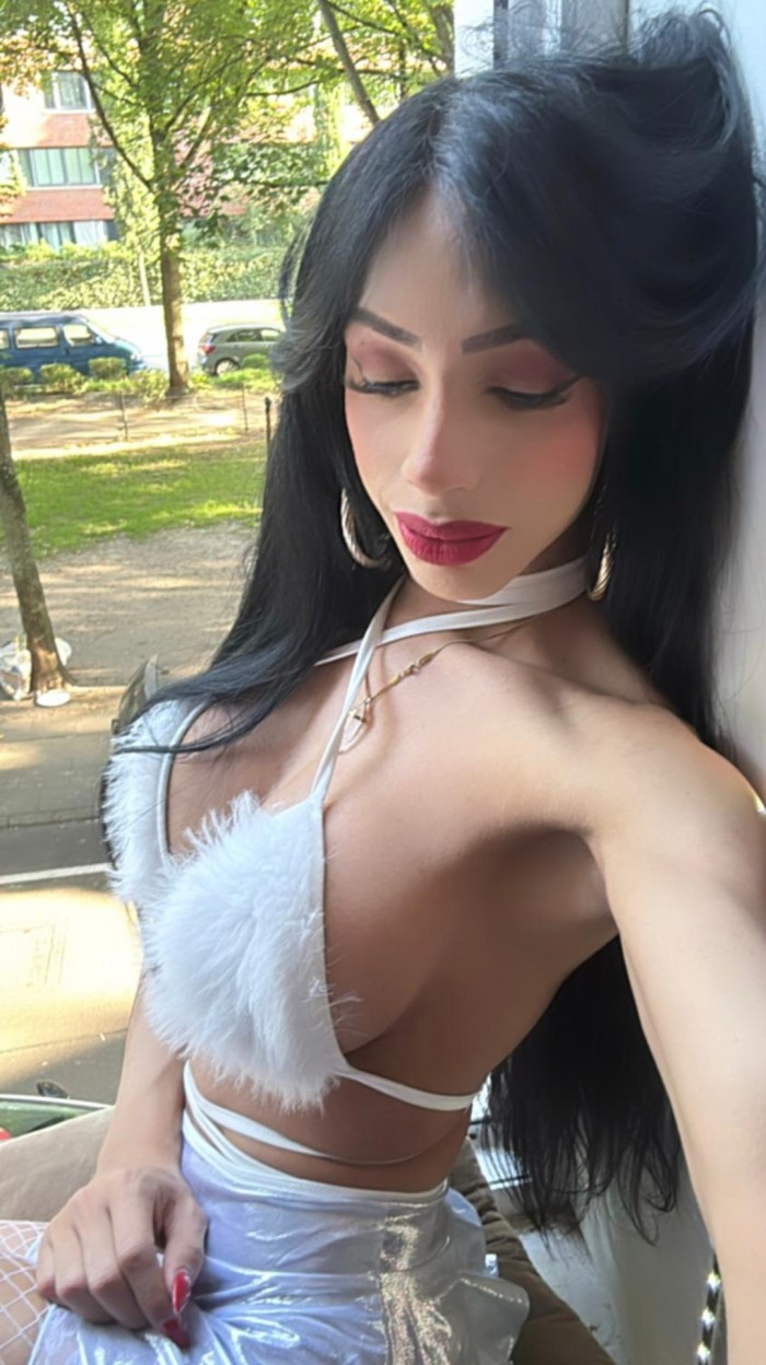 TRANS VENEZOLANA DE LUJO SUPER MORBOSA