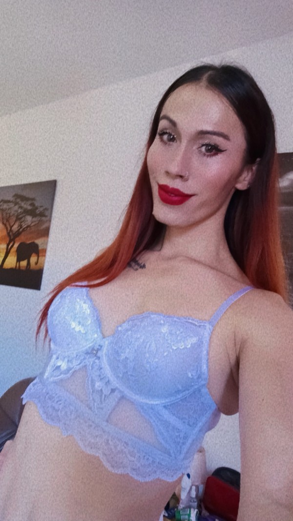 Novedad en tu ciudad Vergona lechera fiestera domi