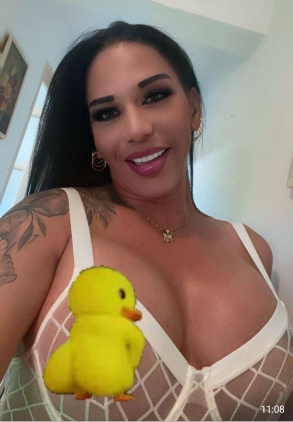 REAL DE IMPACTO TODO UN LUJO BOMBÓN LATINO V.I.P