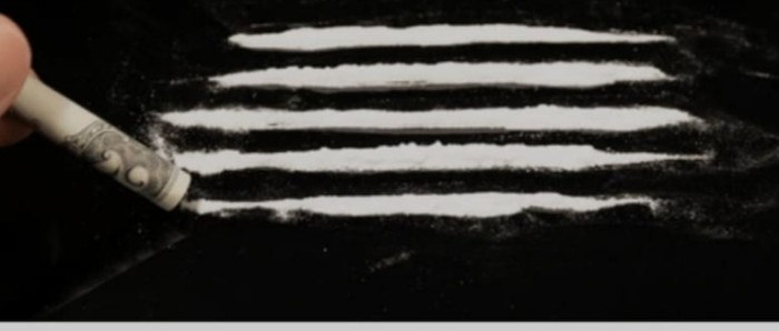 Fiestera a tope doy todo