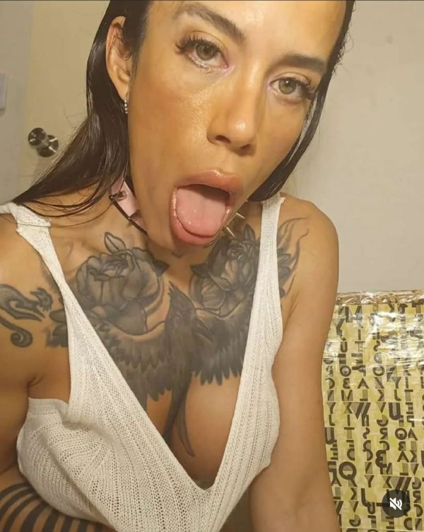 Morbosa trans Zaragoza