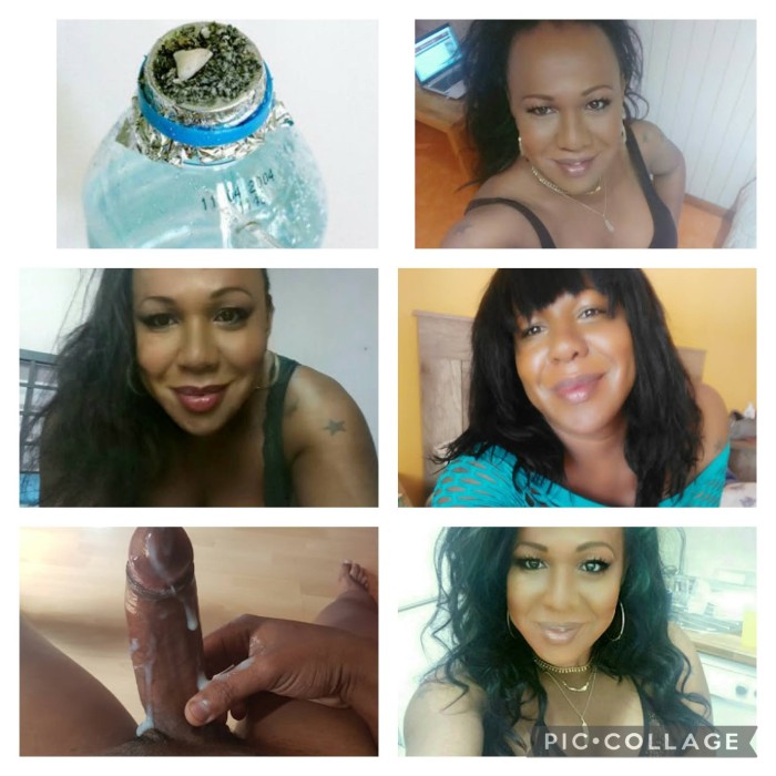 Trans pitty actriz porno