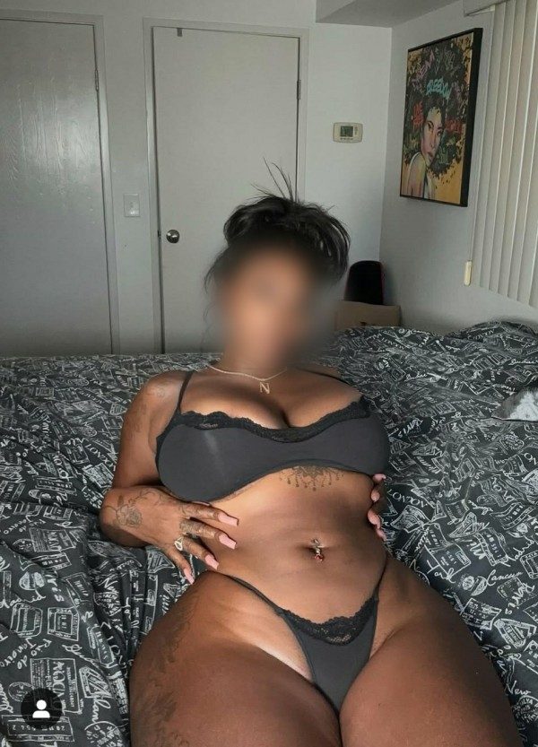 Vanessalanegrita