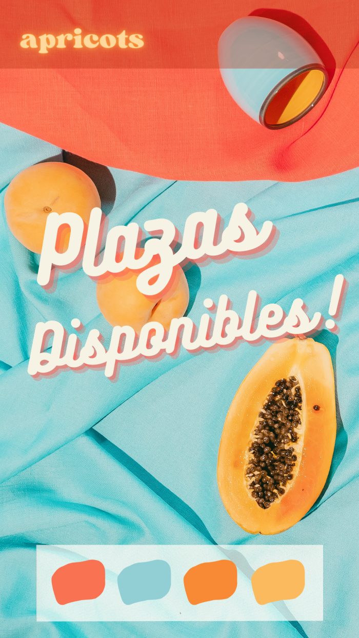 Se buscan chicas para plaza y turno en apricots