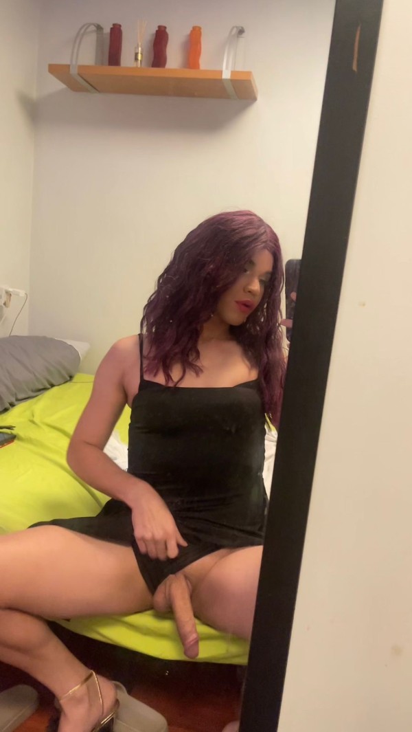 NOVEDAD RECIÉN LLEGANA TRAGONA TRANCA DE CABALLO