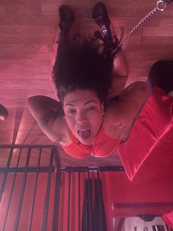 KELLY, SUMISA, FIESTERA, ARDIENTE JUGUETONA