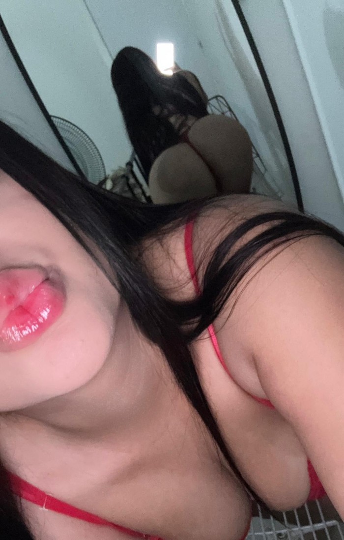 Sharom fiestera novedad en tu ciudad Disponible Ya