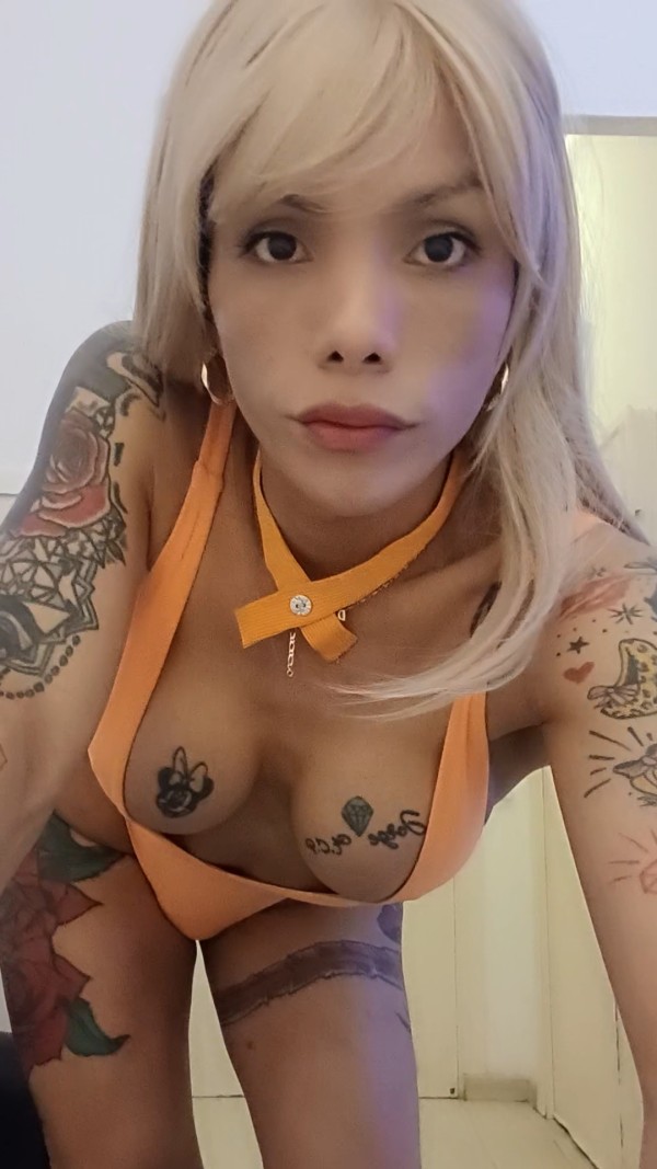 BARBIE  SENSUALIDAD TRANS QUE ATRAPA – SIN CENSURA