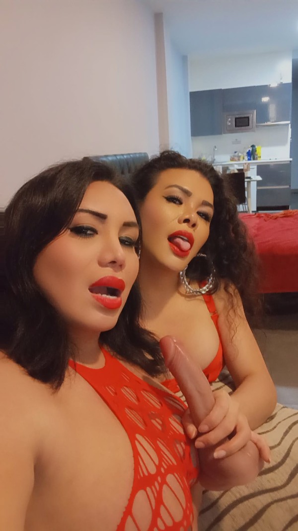 El Trío Soñado Fiesta y Guarrería a Tope