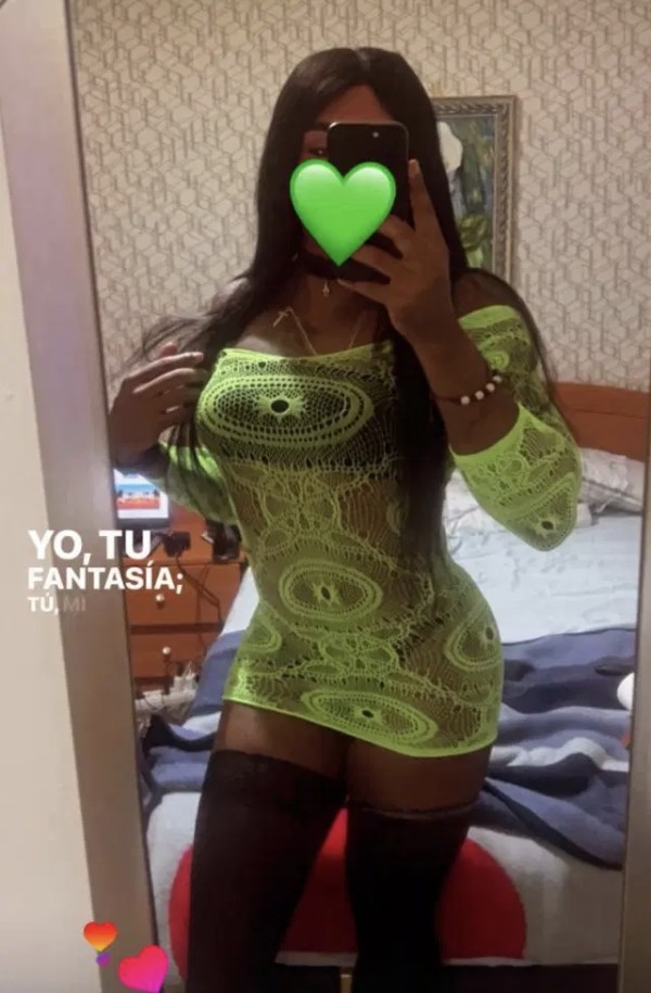 TRANS COLOMBIANA CD INDEPENDIENTE XL