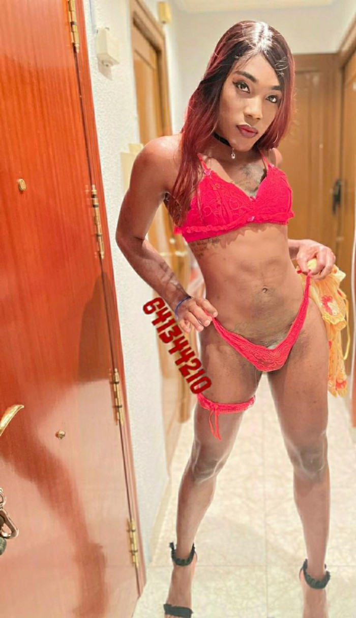 TRANS CD LATINA EN TU CIUDAD DISPONIBLE