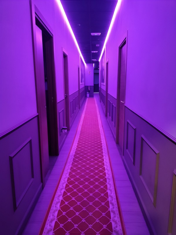 Buscamos ENCARGADA en VALENCIA