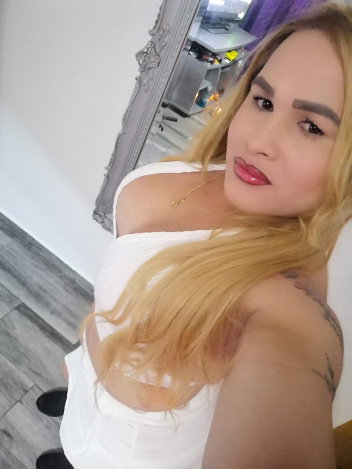 CRISTAL NOVEDAD VIP PARA COMPLACERTE EN TODO