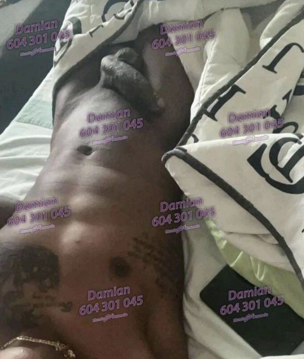 DAMIAN LATINO XL POLLON