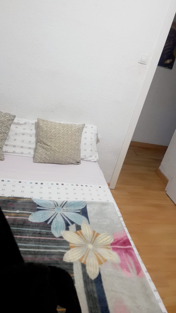 HABITACION DISPONIBLE EN LLEIDA PISO DE SOLO 3 HAB