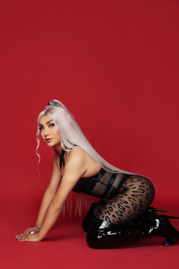 NOVEDAD MEXICANA DOMINACION,MORBO, FIESTA FANTASIAS TRANSFORMACION PARA TI