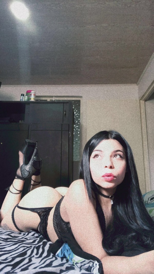 Primera vez trans versátil bien cerda