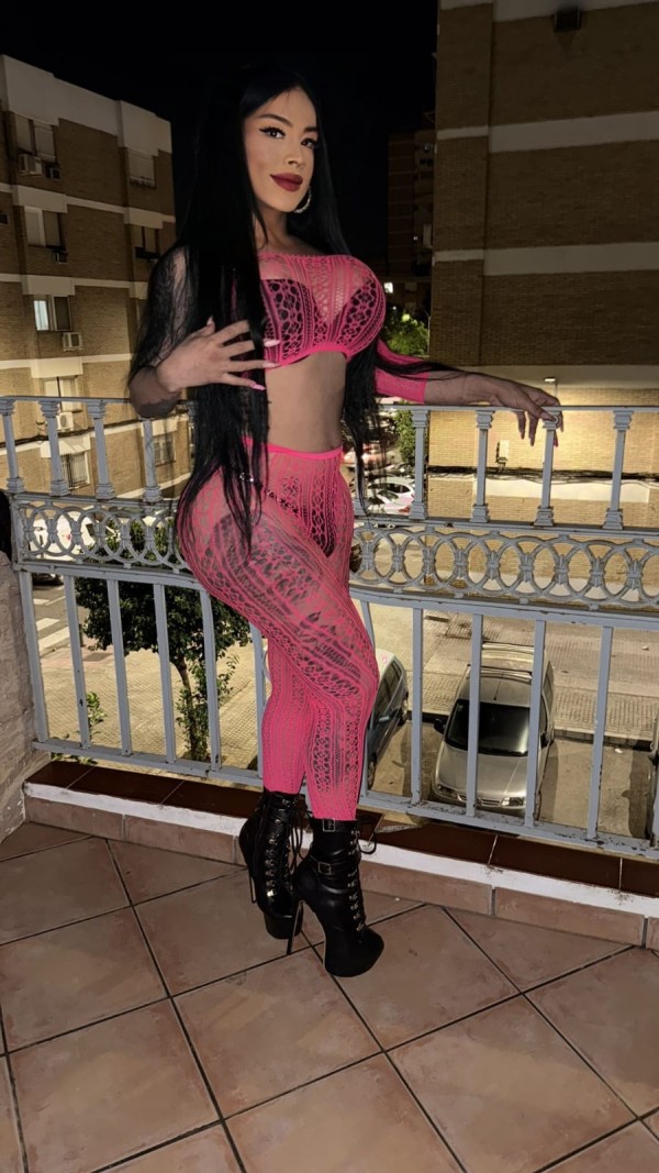 Sofia novedad mis amores