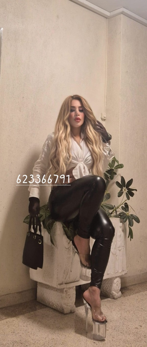 ANITHA TRANS AUTÉNTICA DE BANDERA POLLONA EMPOTRADORA DE MACHOS