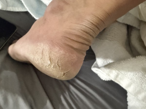 Roxana hermosa transexual fiestera, seré tu novia Trans una fantasía real