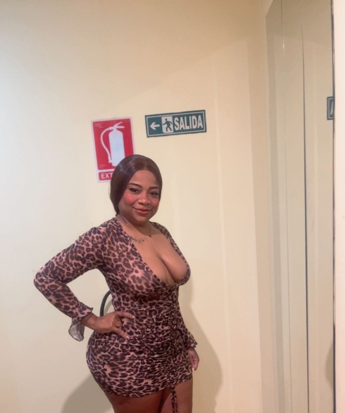 VICIO ASEGURADO, 24 HORAS