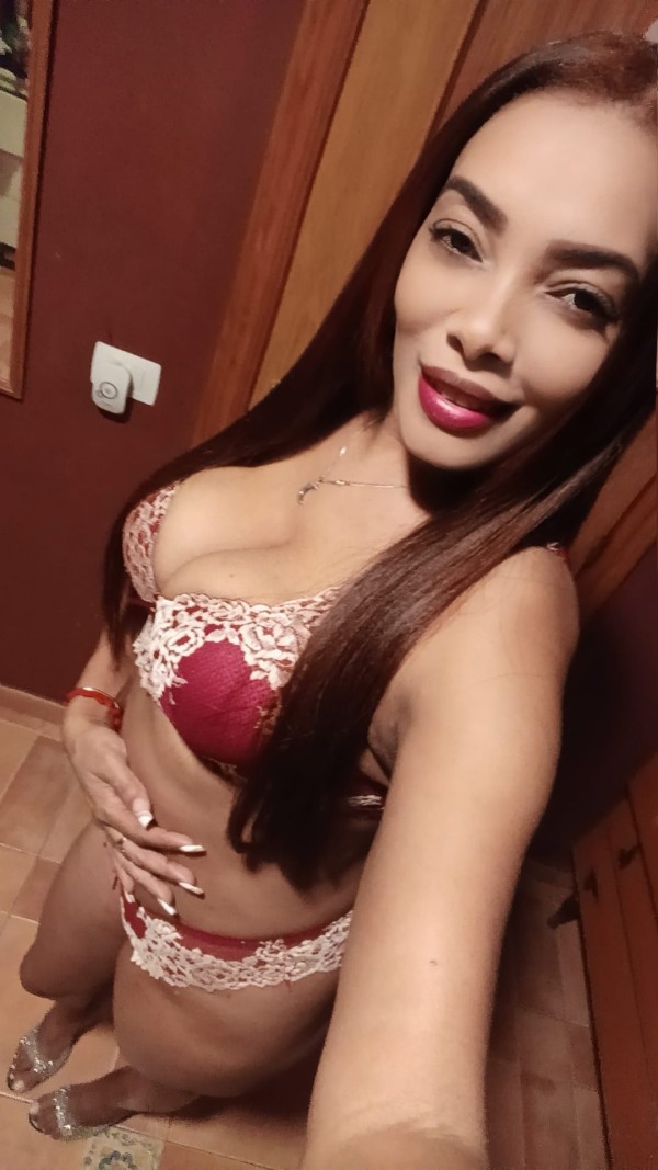 Pintor camarón 15   666309112