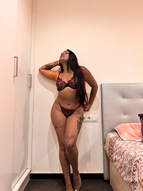 FOGOSA FIESTERA DISPONIBLE