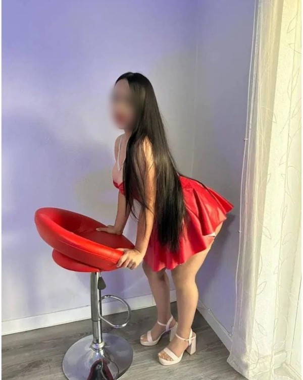 DESCUBRE A REINA: TU FANTASÍA HECHA REALIDAD