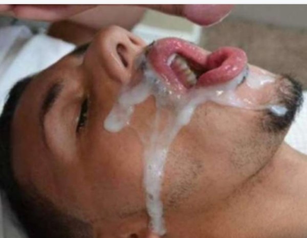 TRANS MADURITA POLLONA Y LECHERA