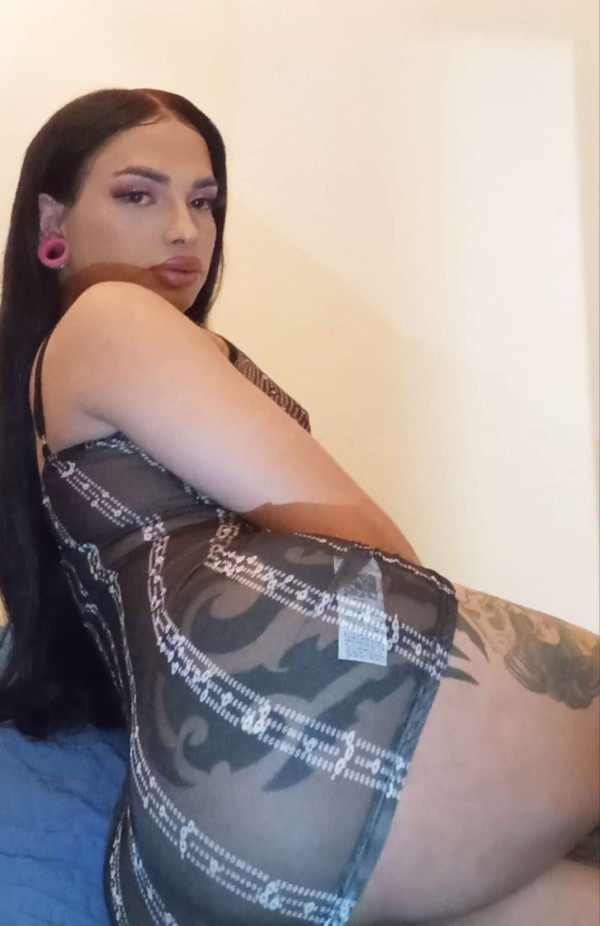 CERDA POLLONA FIESTERA NIÑATA LATINA