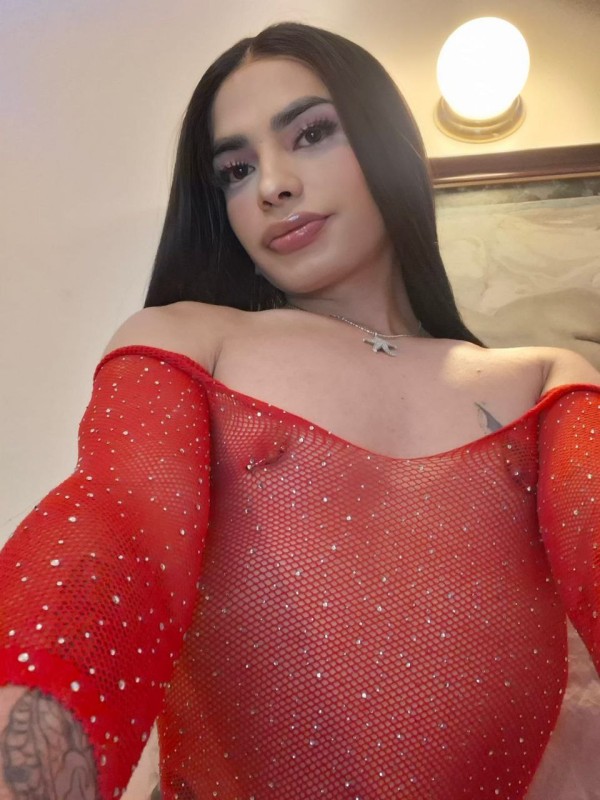 CERDA POLLONA FIESTERA NIÑATA LATINA