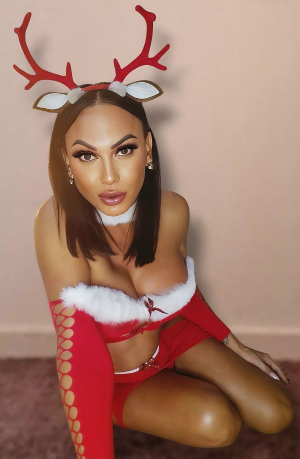 TRANS ANDALUZA ISABELLA SANTA CRUZ CENTRO