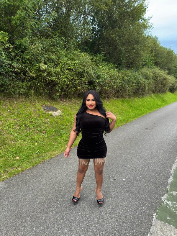 Soy todo lonque busca