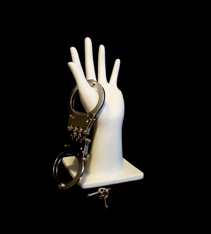 DESCUBRE EL ENCANTO IRRESISTIBLE DE AMA MINERVA