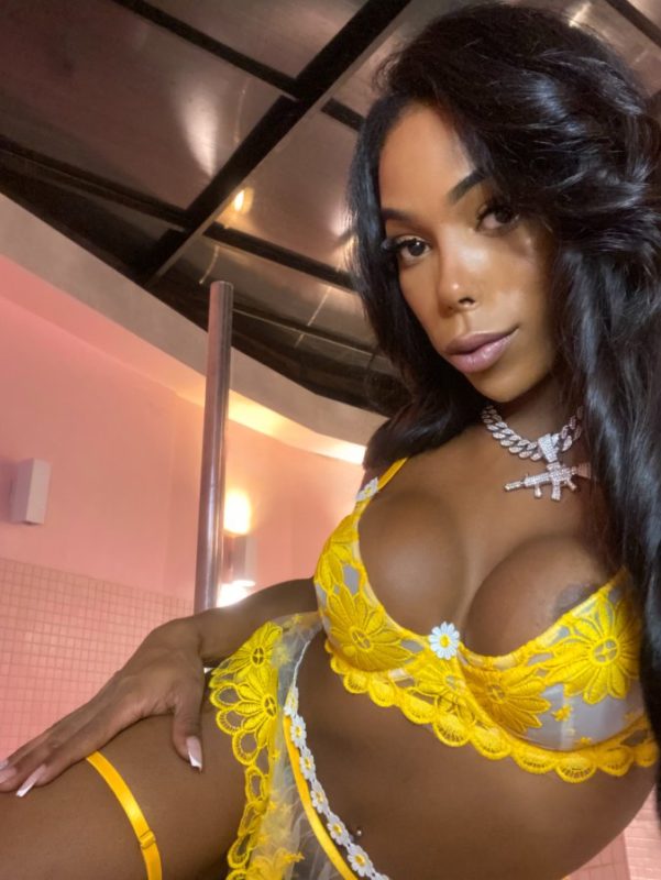 Trans Agudulce dotada completa feisteira