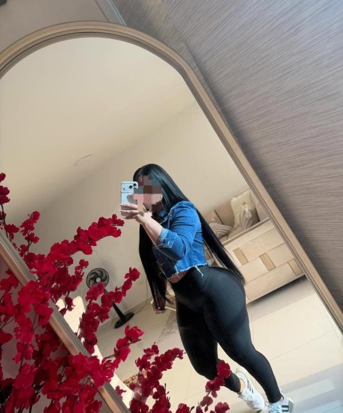 novedad