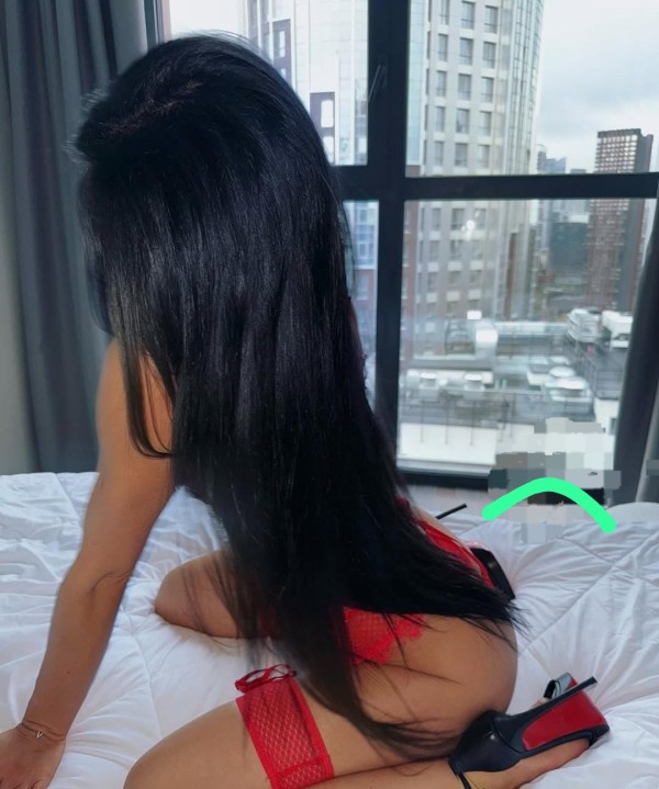 Nueva a tú ciudad mis amores