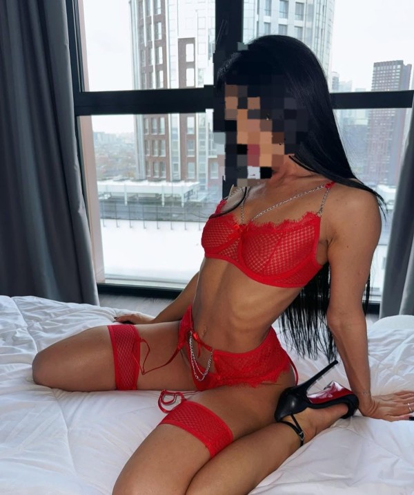 Nueva a tú ciudad mis amores