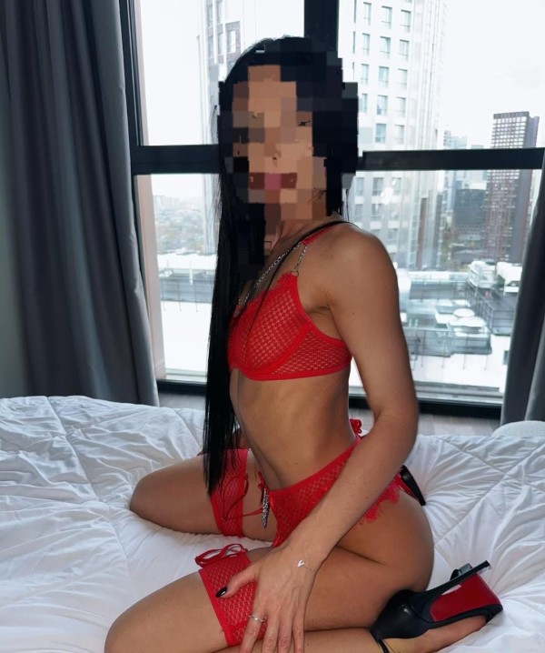 Nueva a tú ciudad mis amores