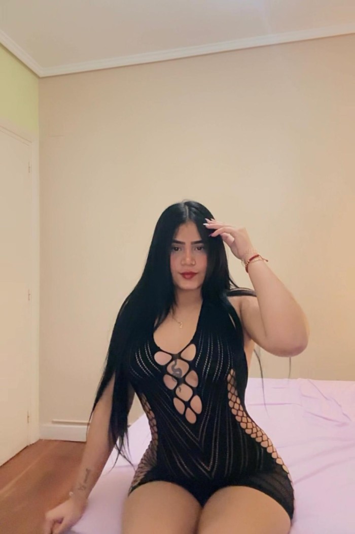Novedades fiestera