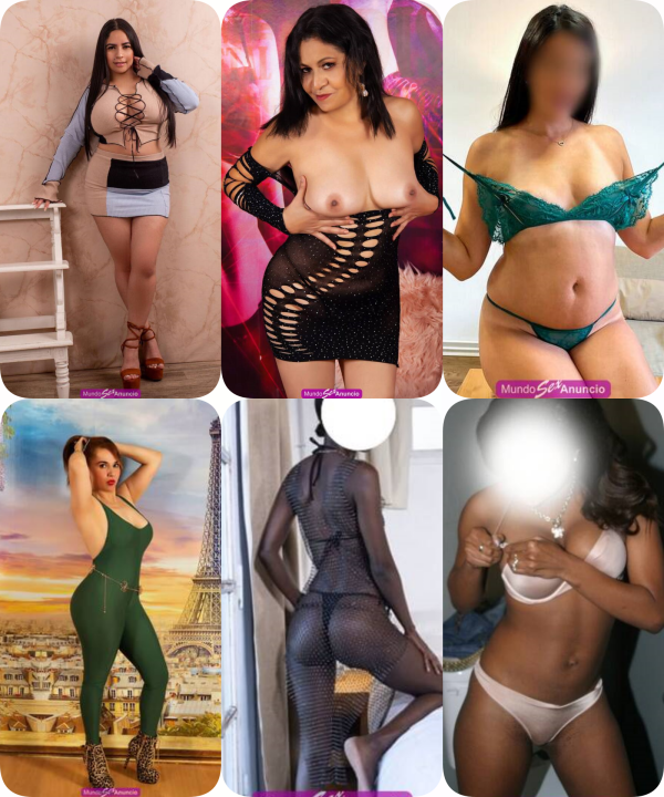 LA CASA DEL PEKADO LAS 24 HORAS