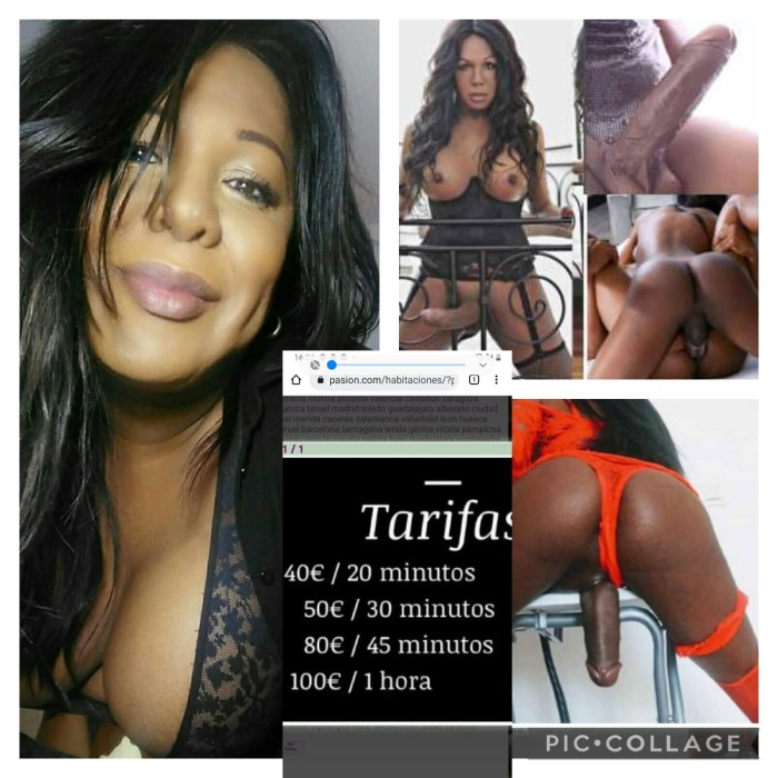 Trans. Mulata fiestera lugo