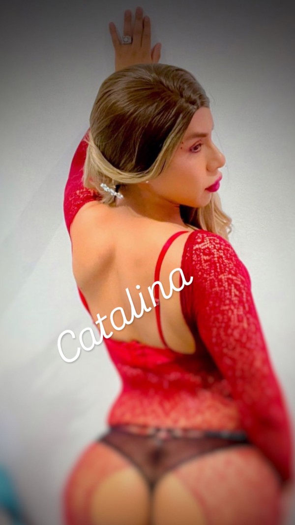 En MÁLAGA BOMBON LATINO CATALINA TRANS CROOS EXCLUSIVA ,fosasa ,fiestera