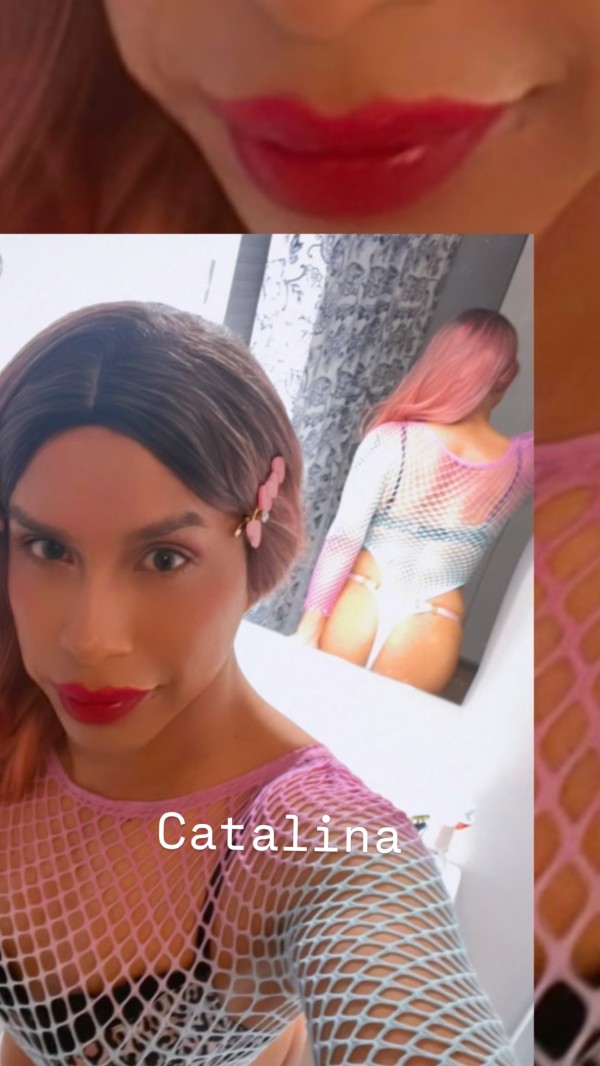 En MÁLAGA BOMBON LATINO CATALINA TRANS CROOS EXCLUSIVA ,fosasa ,fiestera