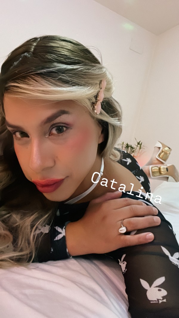 En MÁLAGA BOMBON LATINO CATALINA TRANS CROOS EXCLUSIVA ,fosasa ,fiestera