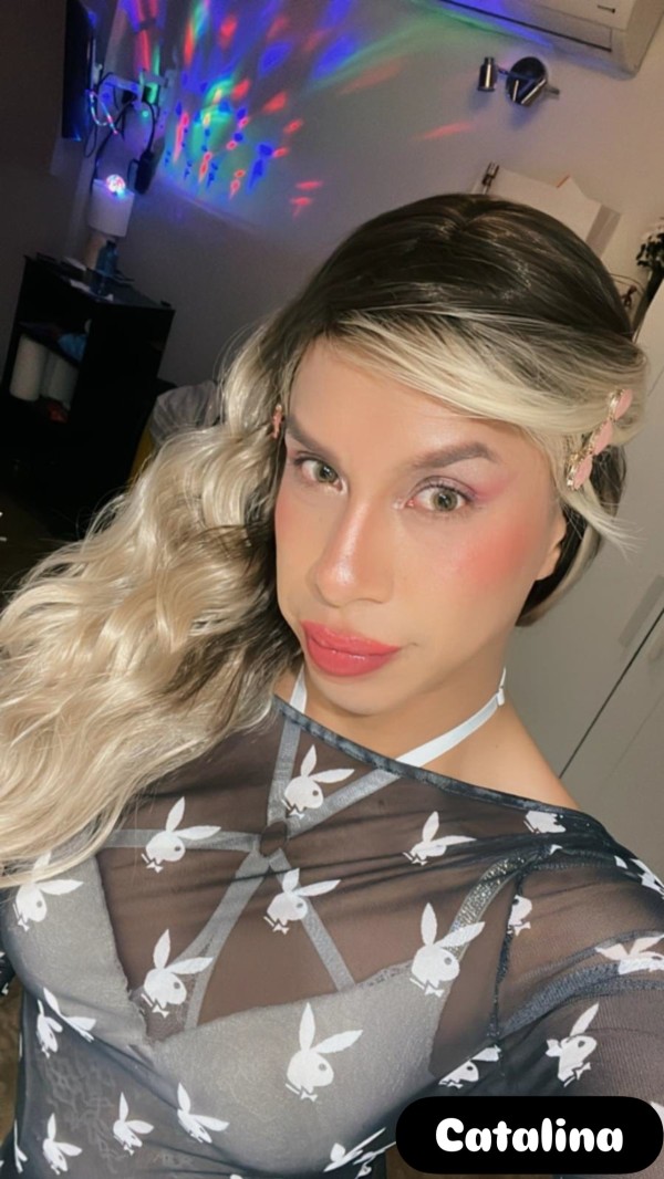 En MÁLAGA BOMBON LATINO CATALINA TRANS CROOS EXCLUSIVA ,fosasa ,fiestera