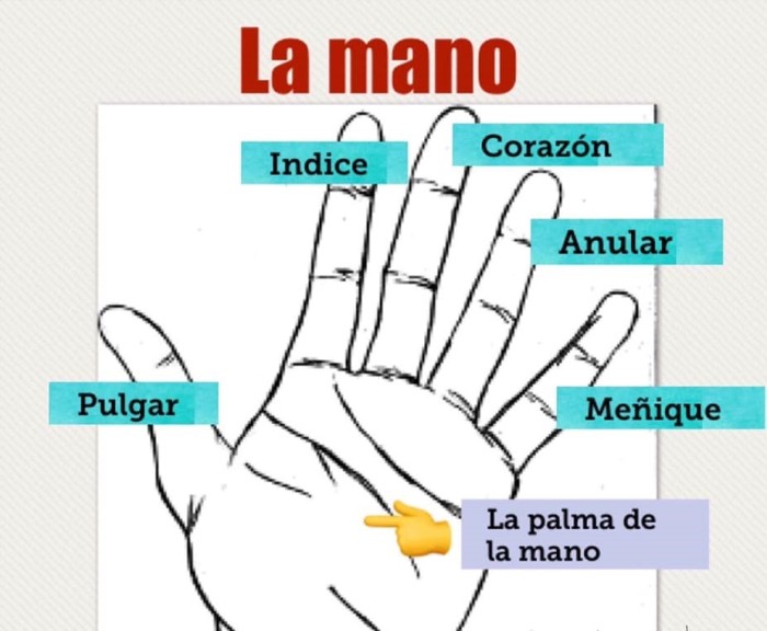 Masajista Particular