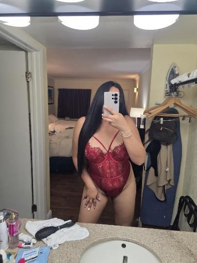 LIZ, TU COMPAÑIA EXOTICA COMPLETA