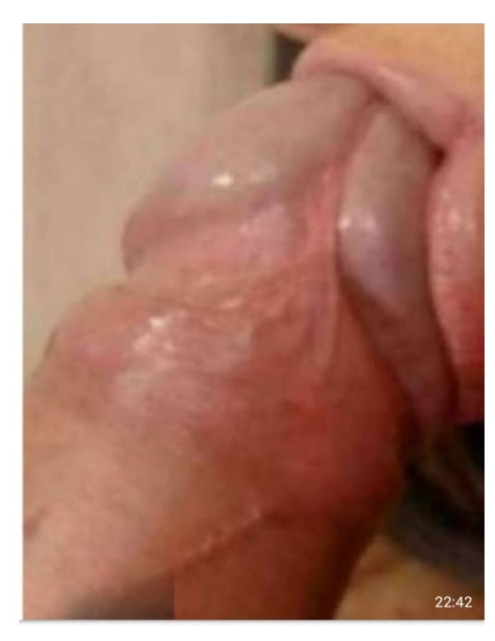 DIANA BRASILEÑA 24 HORAS